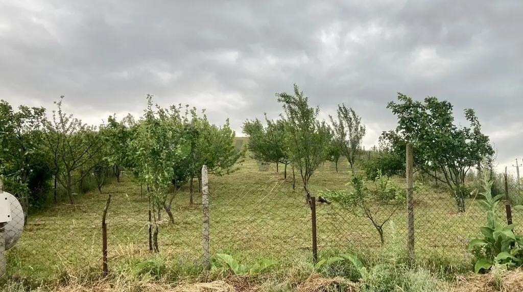 12 sot Torpaq Satılır, Şamaxı — Torpaq, Şamaxı (6)