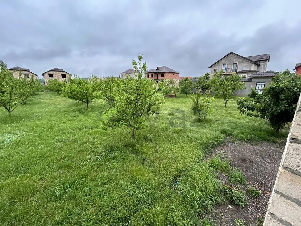 5 sot Torpaq Satılır, Qusar — Torpaq, Qusar (6)