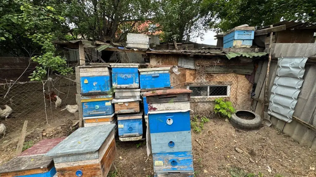 2 otaqlı Həyət evi Satılır, Şabran — Ev, villa, Şabran (7)
