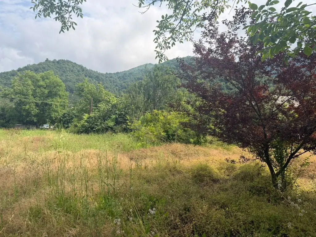 8 sot Torpaq Satılır, Lerik — Torpaq, Lerik (2)
