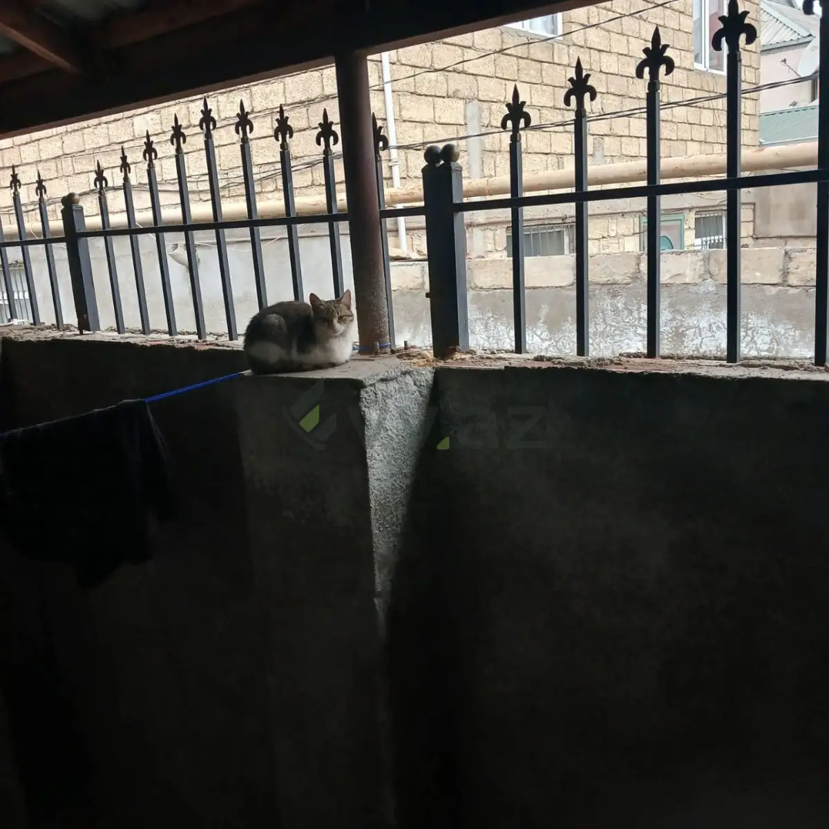 2 otaqlı Həyət evi Satılır, Masazır, Abşeron — Ev, villa (7)