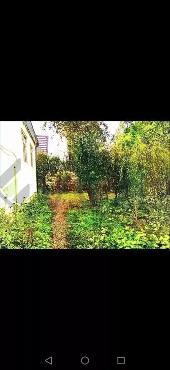 3 otaqlı Həyət evi Kirayə (günlük), Quba — Ev, villa, Quba (2)