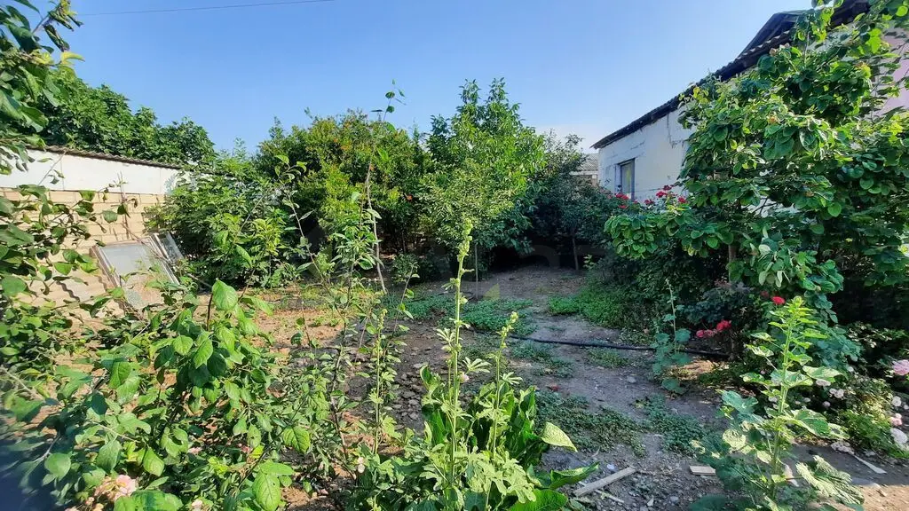 4 otaqlı Həyət evi Satılır, Bərdə — Ev, villa, Bərdə (11)