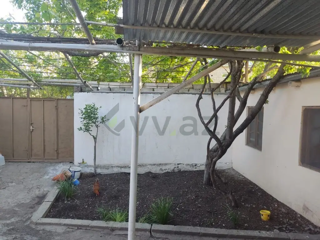 4 otaqlı Həyət evi Satılır, Şamaxı — Ev, villa, Şamaxı (6)
