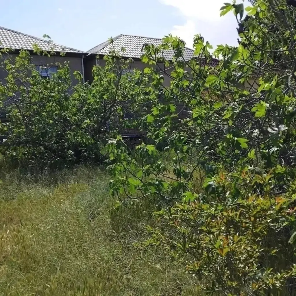 4 otaqlı Həyət evi Satılır, Corat bağları, Sumqayıt — Ev, villa, Sumqayıt (2)