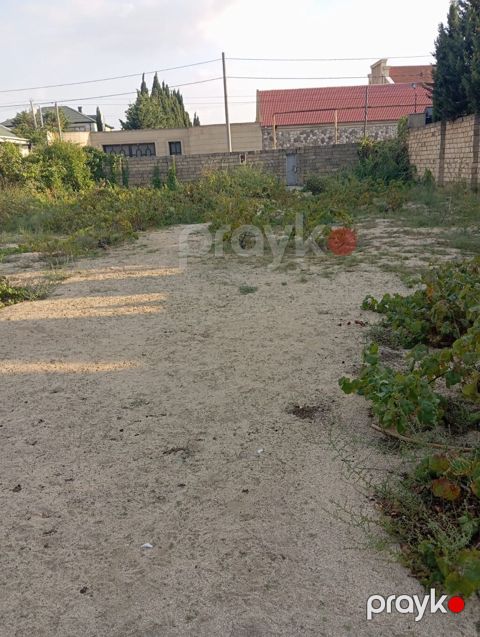 8 sot, Tikinti, Mülkiyyətçi, Kupça (Çıxarış) — Bakı
