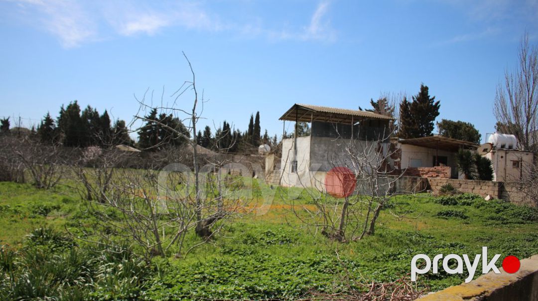 Satış: Torpaq, 33 sot, Sabunçu rayonu — Torpaq, Bakı (10)