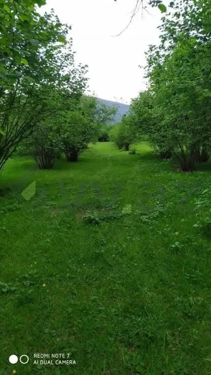 4 otaqlı Həyət evi Satılır, Qax — Ev, villa, Qax (12)