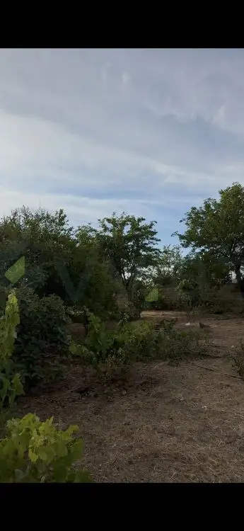 2 sot Torpaq Satılır, Novxanı, Abşeron — Torpaq (3)