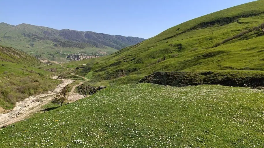105 sot Torpaq Satılır, Qusar — Torpaq, Qusar (7)
