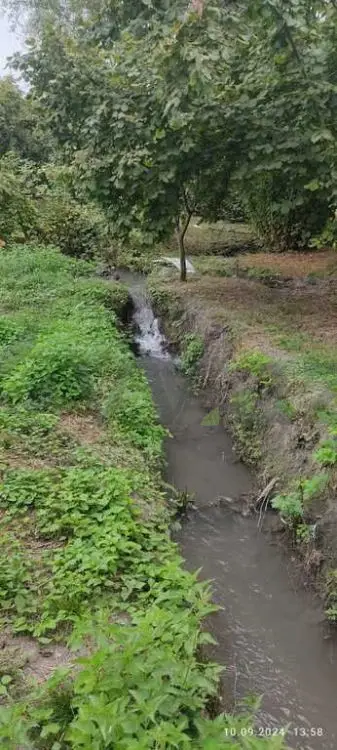 80 sot Torpaq Satılır, Oğuz — Torpaq, Oğuz (5)