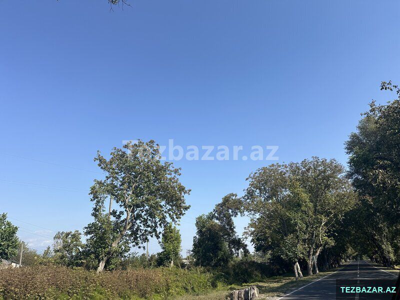 Oğuzda Ferma — Ofis, Bakı (10)