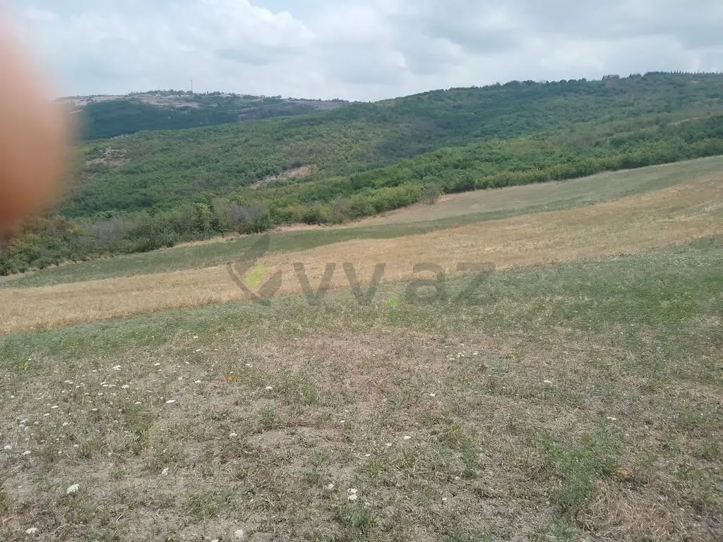 232 sot Torpaq Satılır, Şamaxı — Torpaq, Şamaxı (4)