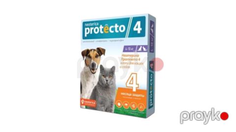 Neoterica Protecto it və pişik üçün,4-10 kq,2 pipet — Bakı