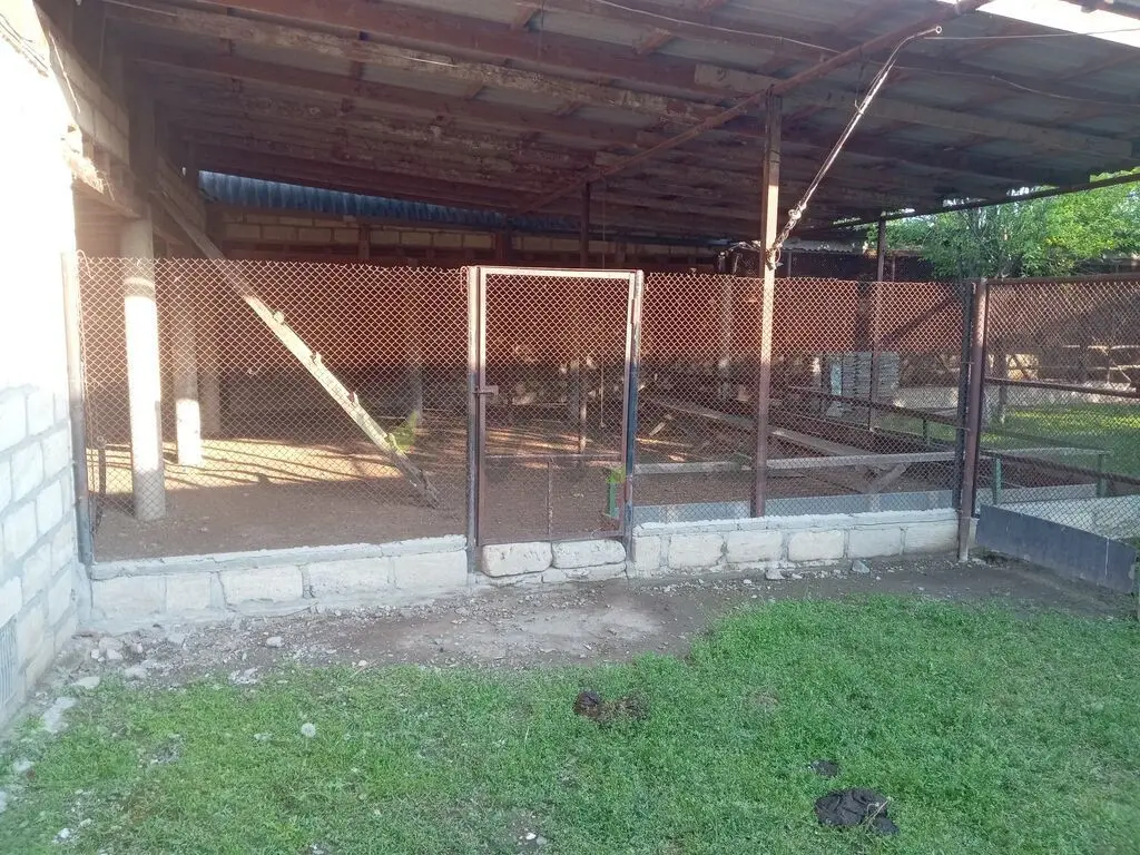 4 otaqlı Həyət evi Satılır, Yevlax — Ev, villa, Yevlax (11)