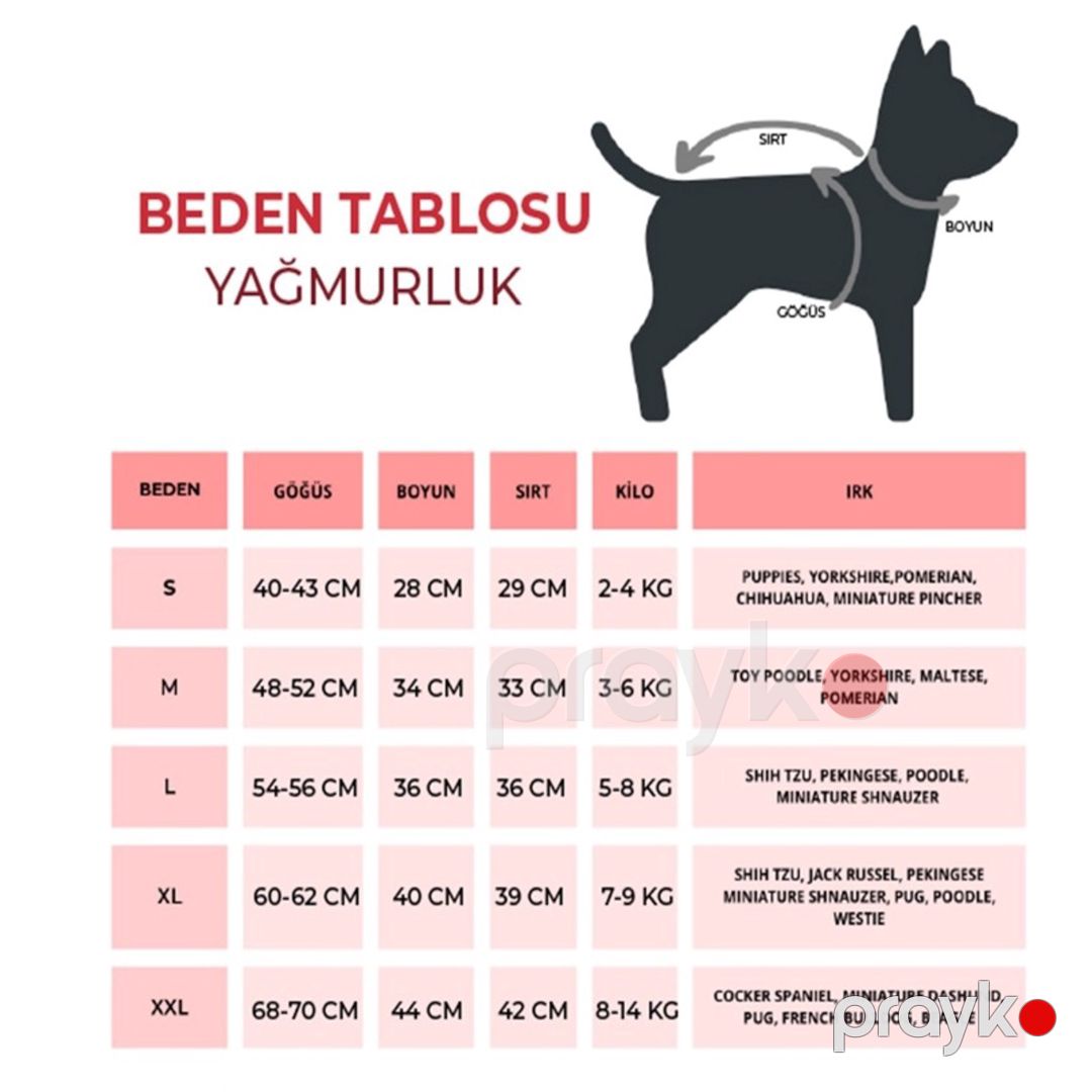 İtlər üçün yağmurluq Salya Store, ölçü XXL, göy — Mallar, Bakı (2)