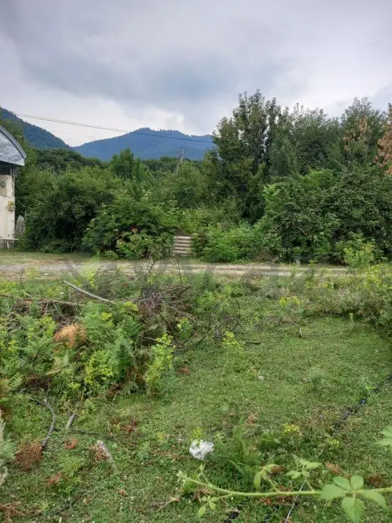 7 sot Torpaq Satılır, Qəbələ — Torpaq, Qəbələ (4)