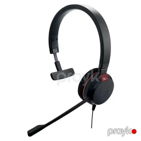 Jabra Evolve 20 USB C/A MS Mono (4993-823-169) — Bakı