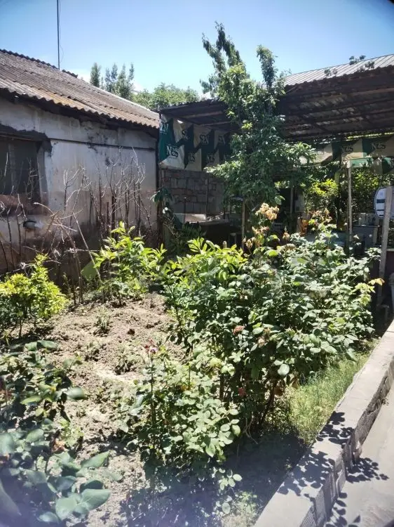 4 otaqlı Həyət evi Satılır, Mingəçevir — Ev, villa, Mingəçevir (3)