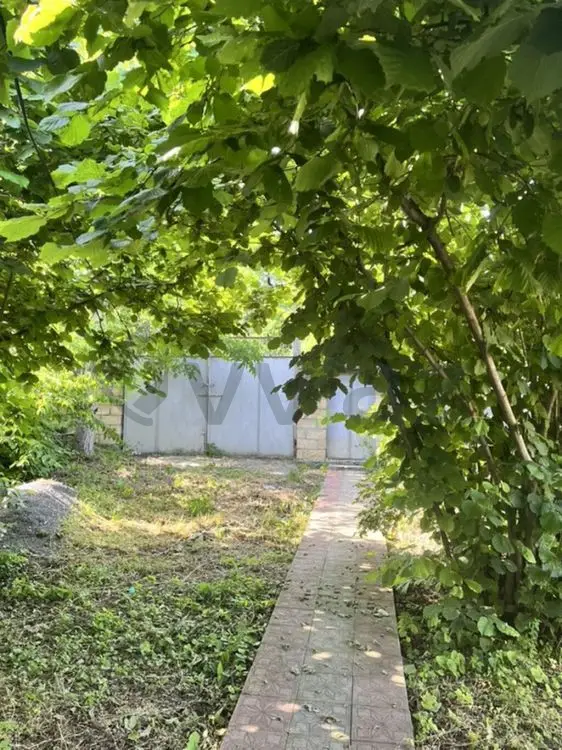 4 otaqlı Həyət evi Satılır, Qəbələ — Ev, villa, Qəbələ (3)