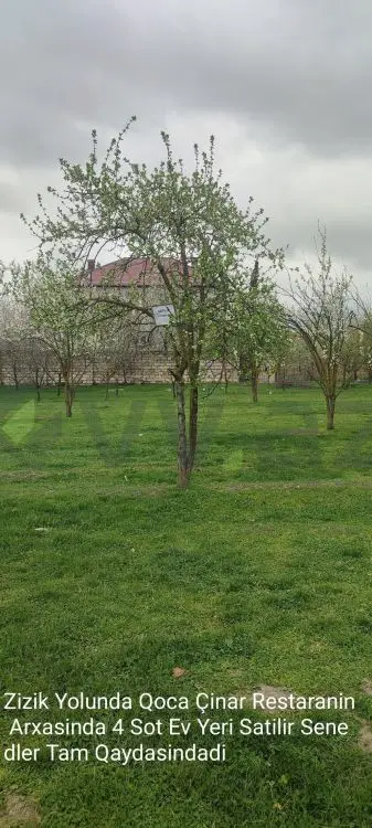 4 sot Torpaq Satılır, Quba — Torpaq, Quba (3)