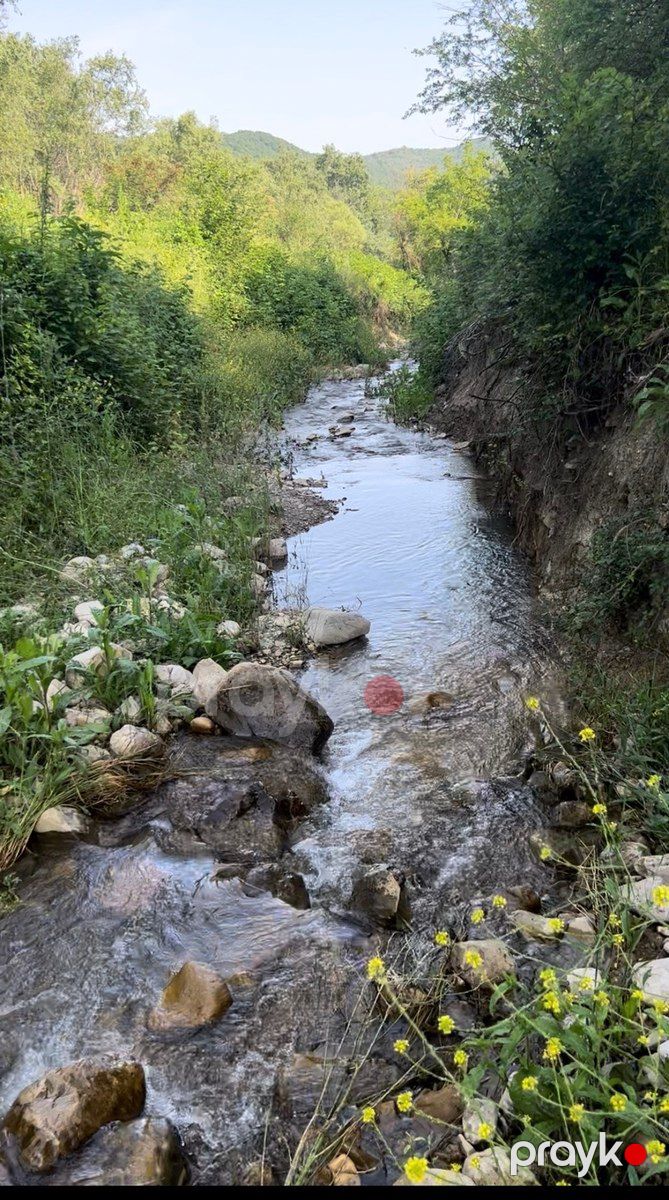 1050 sot torpaq sahəsi, Şamaxı r — Torpaq, Şamaxı (5)