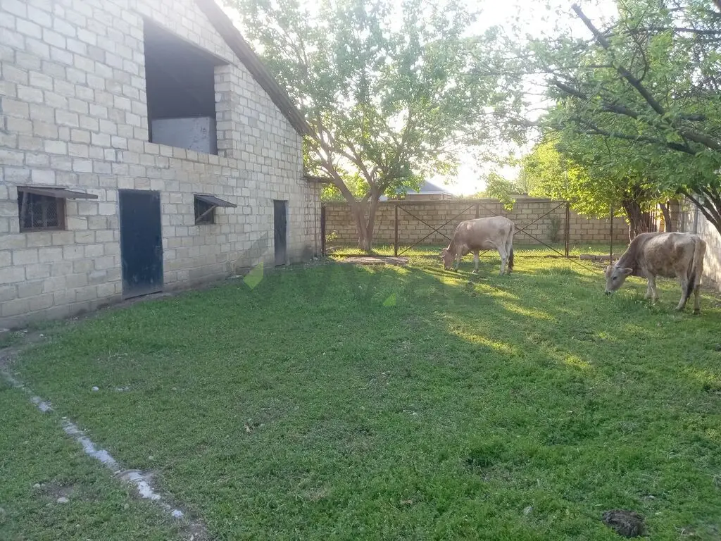 4 otaqlı Həyət evi Satılır, Yevlax — Ev, villa, Yevlax (9)
