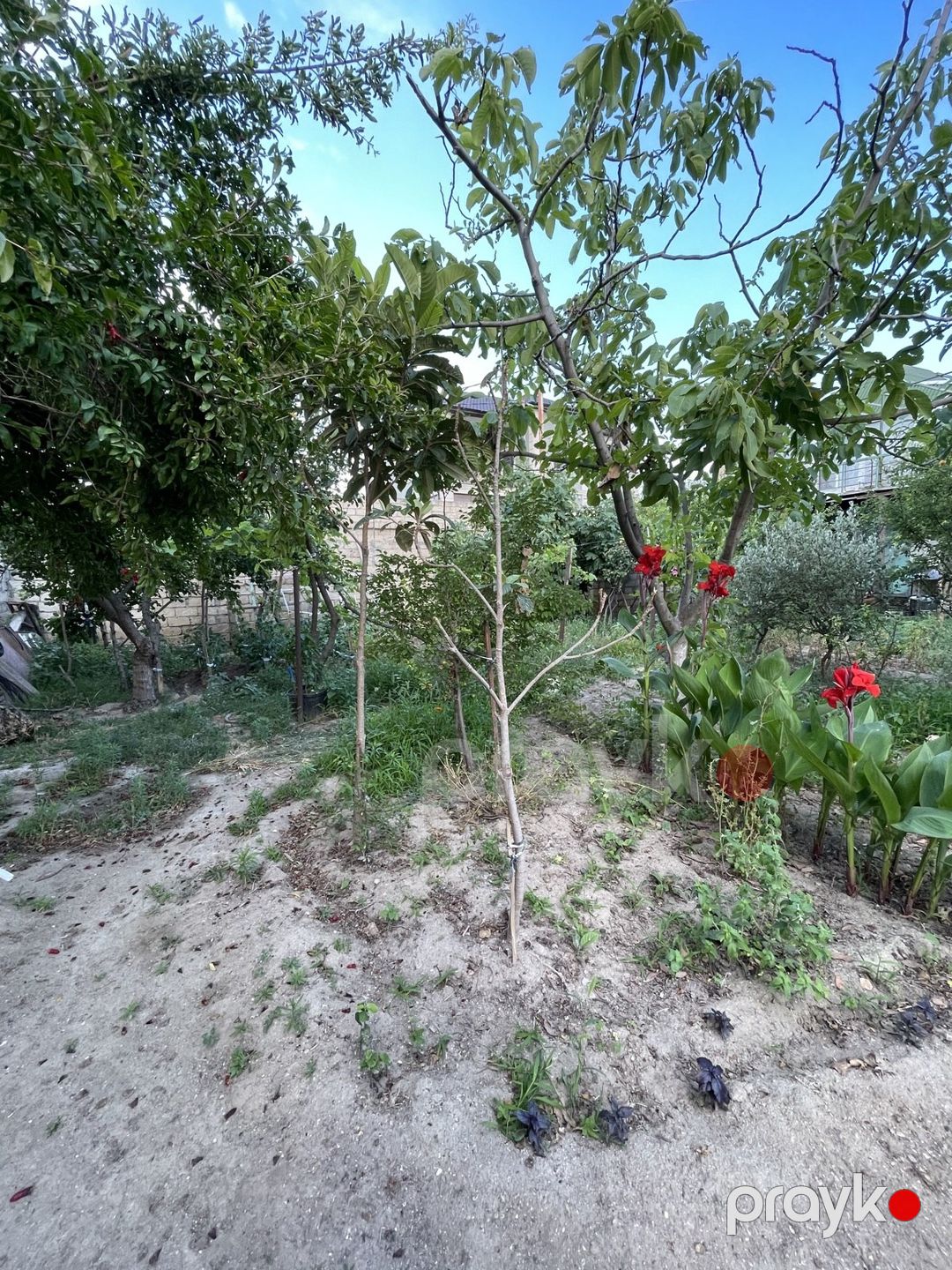 Satılır 7 otaqlı həyət evi/bağ evi 200 m² — Ev, villa, Bakı (7)