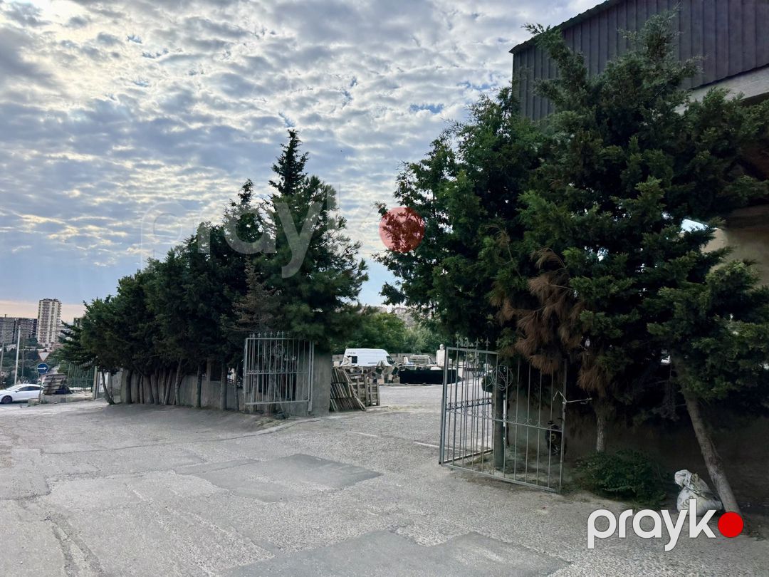 Satılır torpaq 19 sot — Torpaq, Bakı (3)