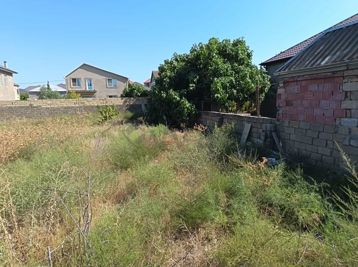 10 sot Torpaq Satılır, Saray, Abşeron — Torpaq (2)