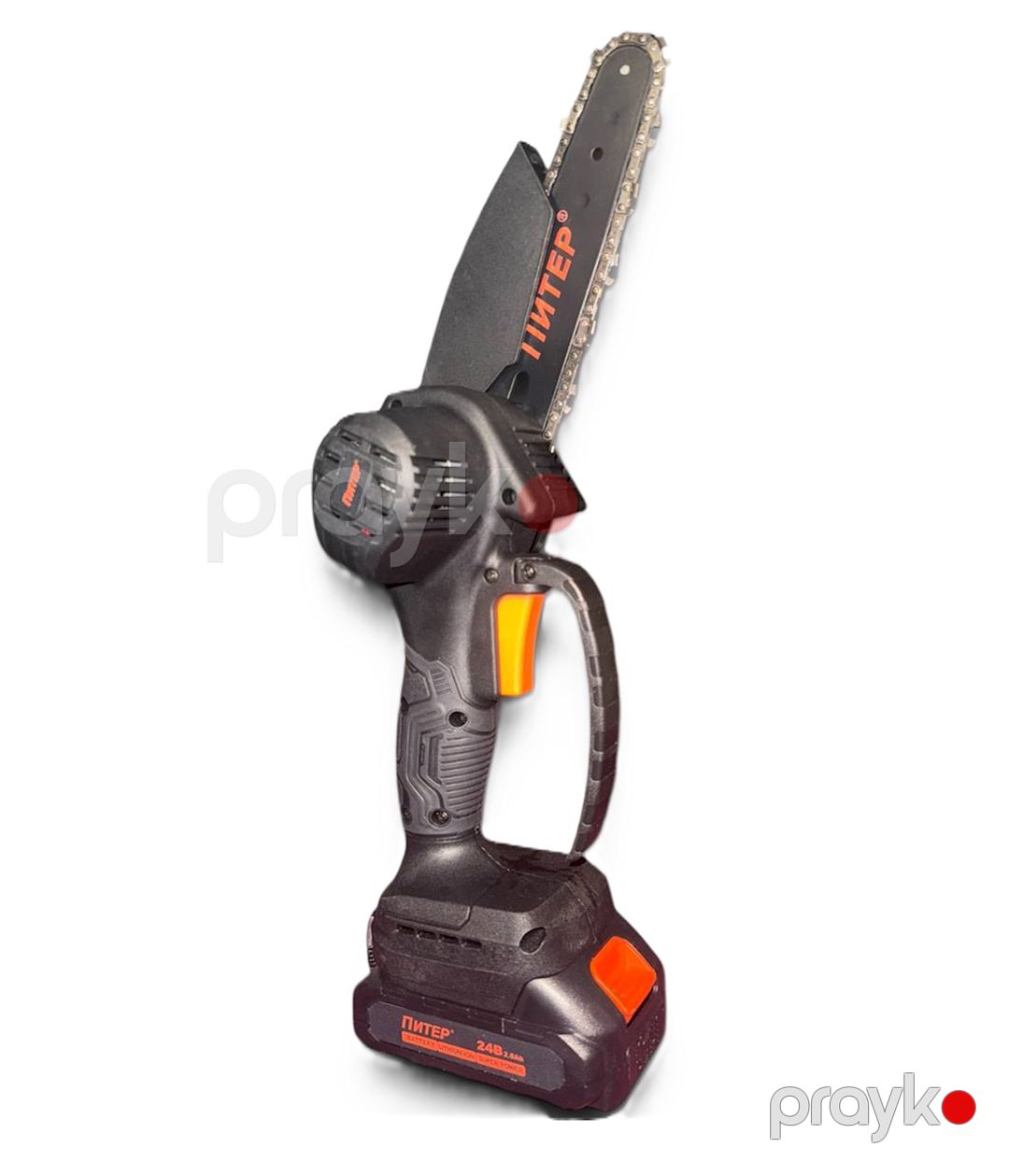 Elektrik mişar Piter ПТ-24/155 24V 2A — Mallar, Bakı (2)
