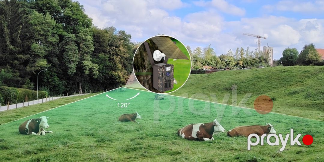 Günəş paneli ilə işləyən fototələ kamera — Camping, ovçuluq və balıqçılıq, Bakı (5)
