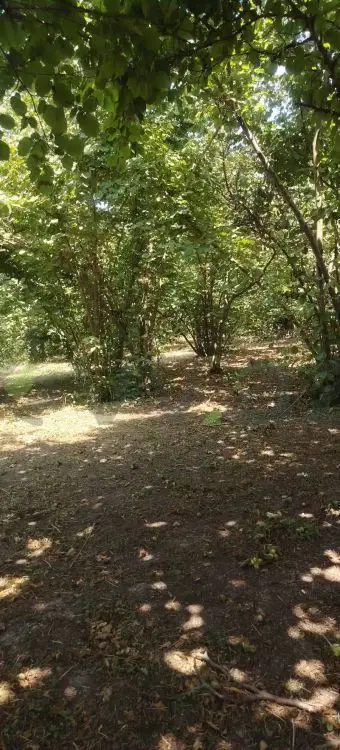 4 otaqlı Yarım tikili Satılır, Xaçmaz — Xaçmaz