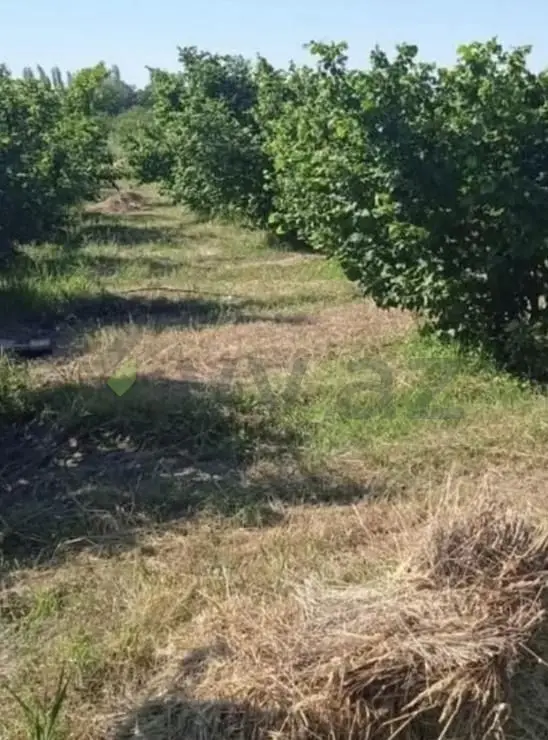 3 otaqlı Həyət evi Satılır, Xaçmaz — Ev, villa, Xaçmaz (9)