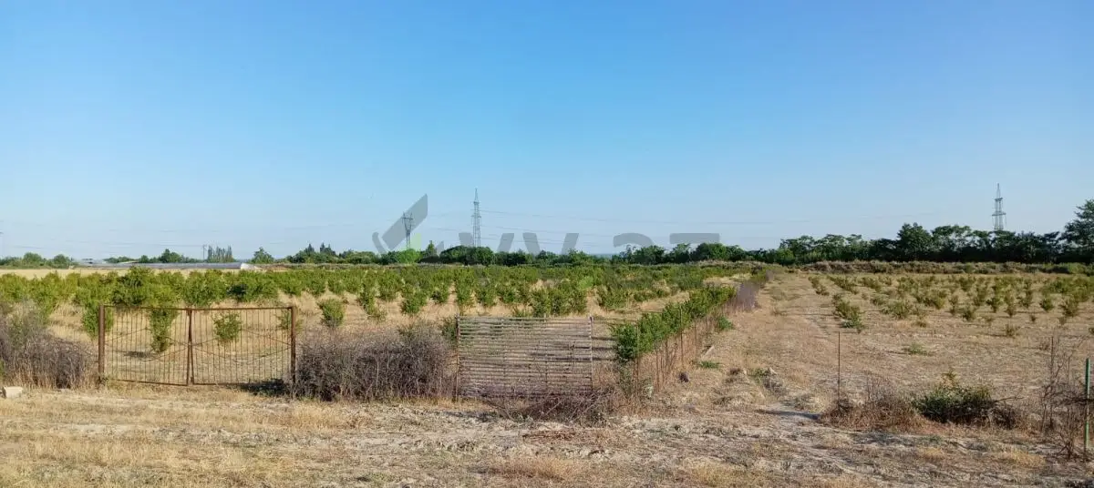 200 sot Torpaq Satılır, Göyçay — Torpaq, Göyçay (9)