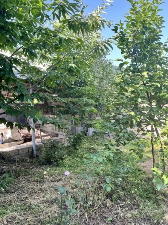 4 otaqlı Həyət evi Satılır, Qəbələ — Ev, villa, Qəbələ (4)