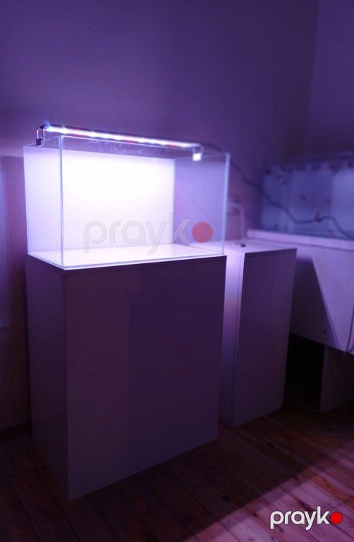 Akvarium və altlığı — Akvariumlar və balıqlar, Bakı (2)