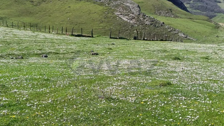 105 sot Torpaq Satılır, Qusar — Torpaq, Qusar (2)