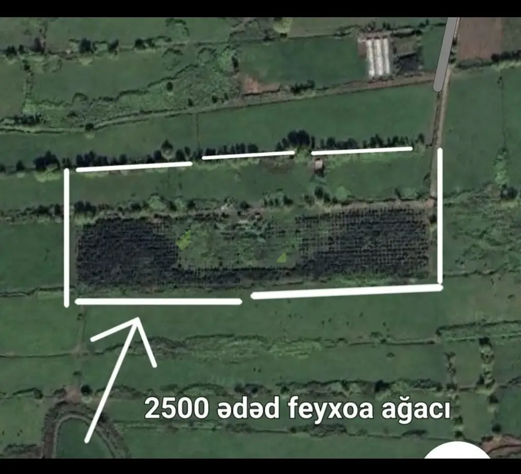 1000 sot Torpaq Satılır, Lənkəran — Torpaq, Lənkəran (2)