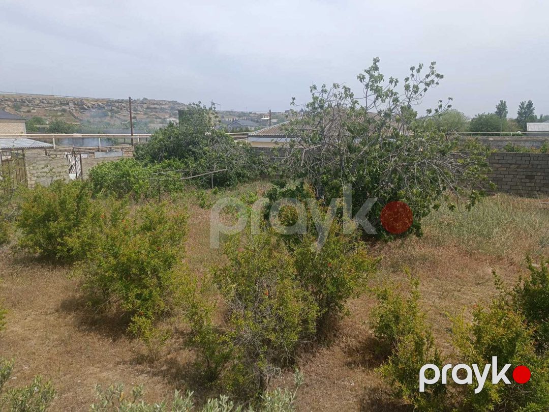 Satılır torpaq 12 sot — Torpaq, Bakı (7)