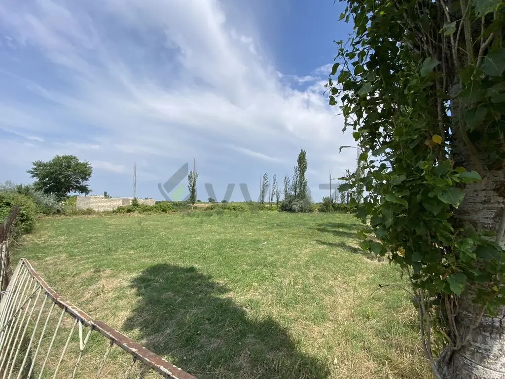 12 sot Torpaq Satılır, Şabran — Torpaq, Şabran (6)