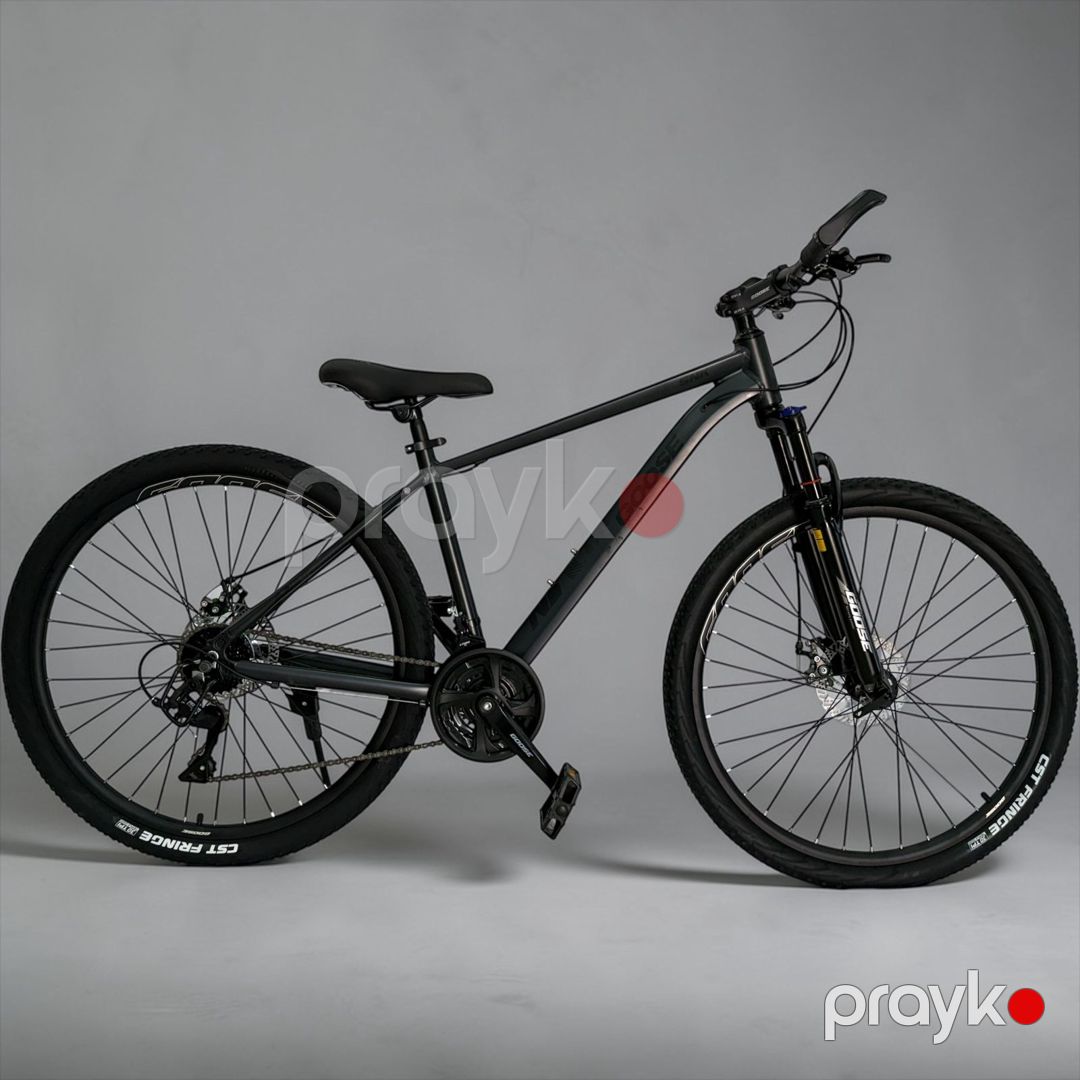 Şəhər velosipedi Goose JB_A007, 29", gümüşü — Velosipedlər, Bakı (2)
