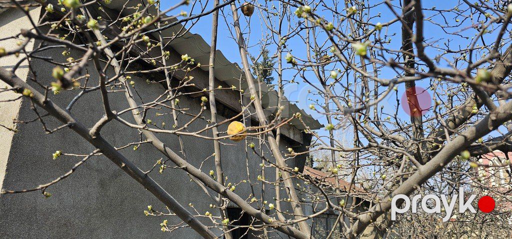 Satılır torpaq 7 sot — Torpaq, Bakı (11)