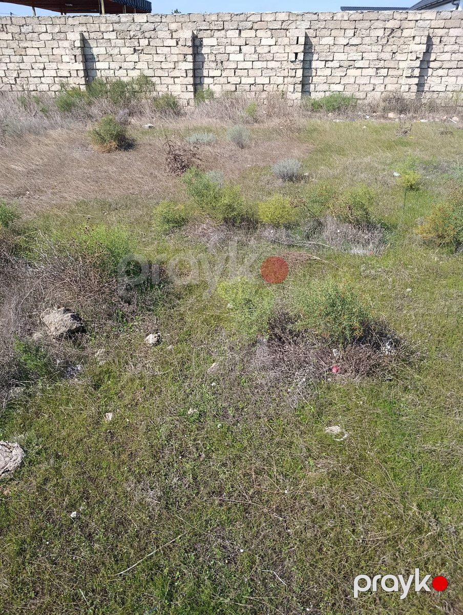 Satılır torpaq 4.5 sot — Torpaq, Bakı (3)