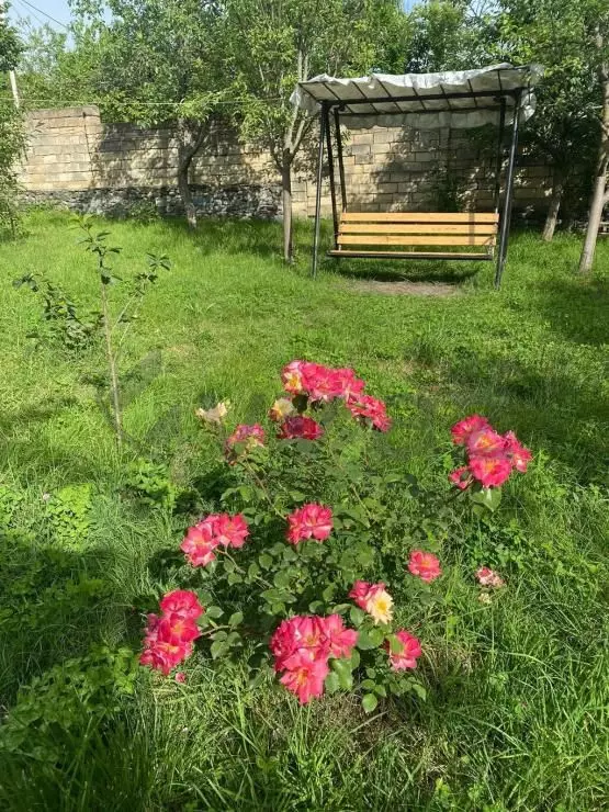 3 otaqlı Həyət evi Kirayə (günlük), Qəbələ — Qəbələ