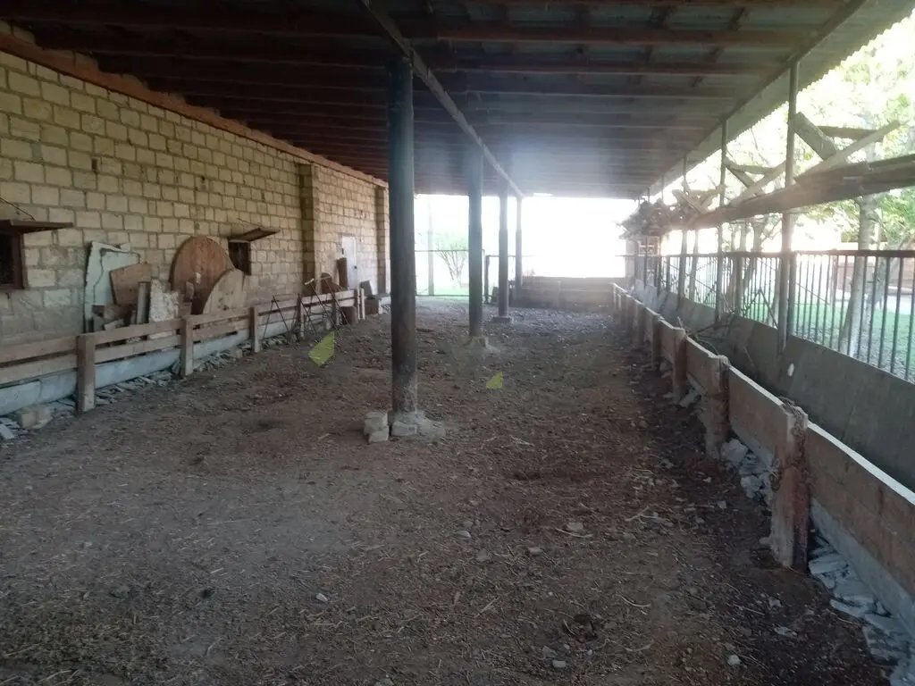 4 otaqlı Həyət evi Satılır, Yevlax — Ev, villa, Yevlax (7)