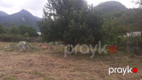 12 sot torpaq sahəsi, Oğuz r — Oğuz