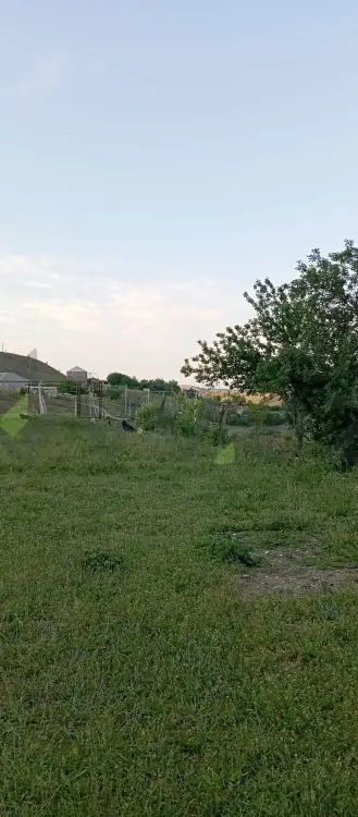 4 otaqlı Həyət evi Satılır, Şabran — Ev, villa, Şabran (2)