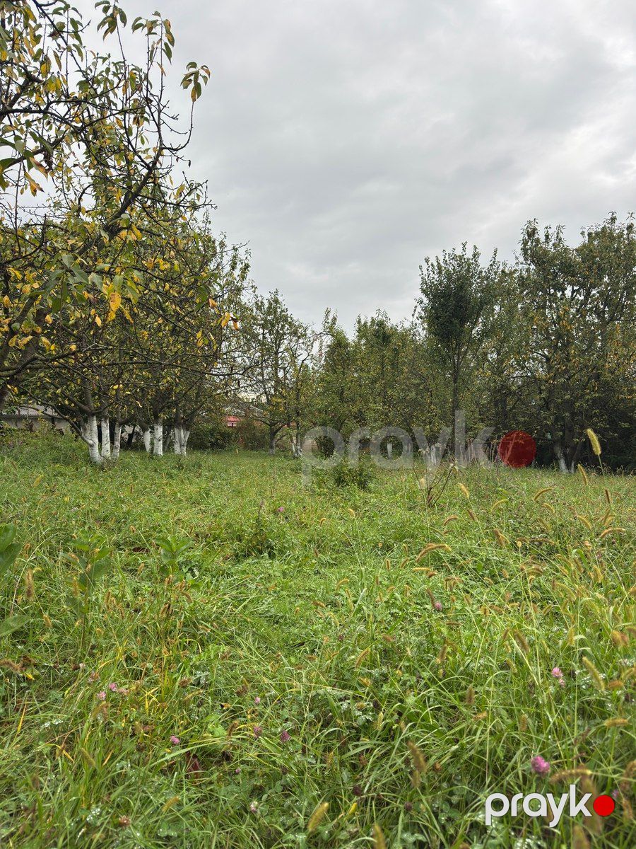 12 sot torpaq sahəsi, Qusar r — Torpaq, Qusar (10)