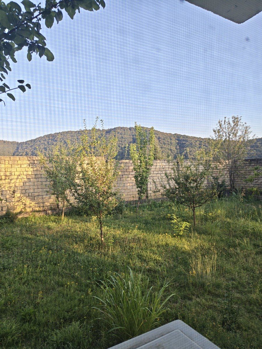 Həyət evi kirayə verilir, Qəbələ r — Ev, villa, Qəbələ (2)